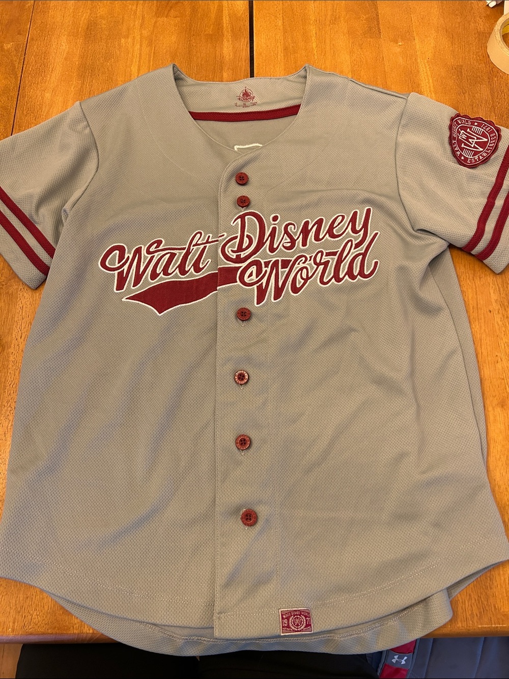 Disney Gray & Maroon Walt Disney World Baseball Jersey